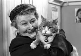 Conversation Street Episode 83 and Minnie Caldwell Profile